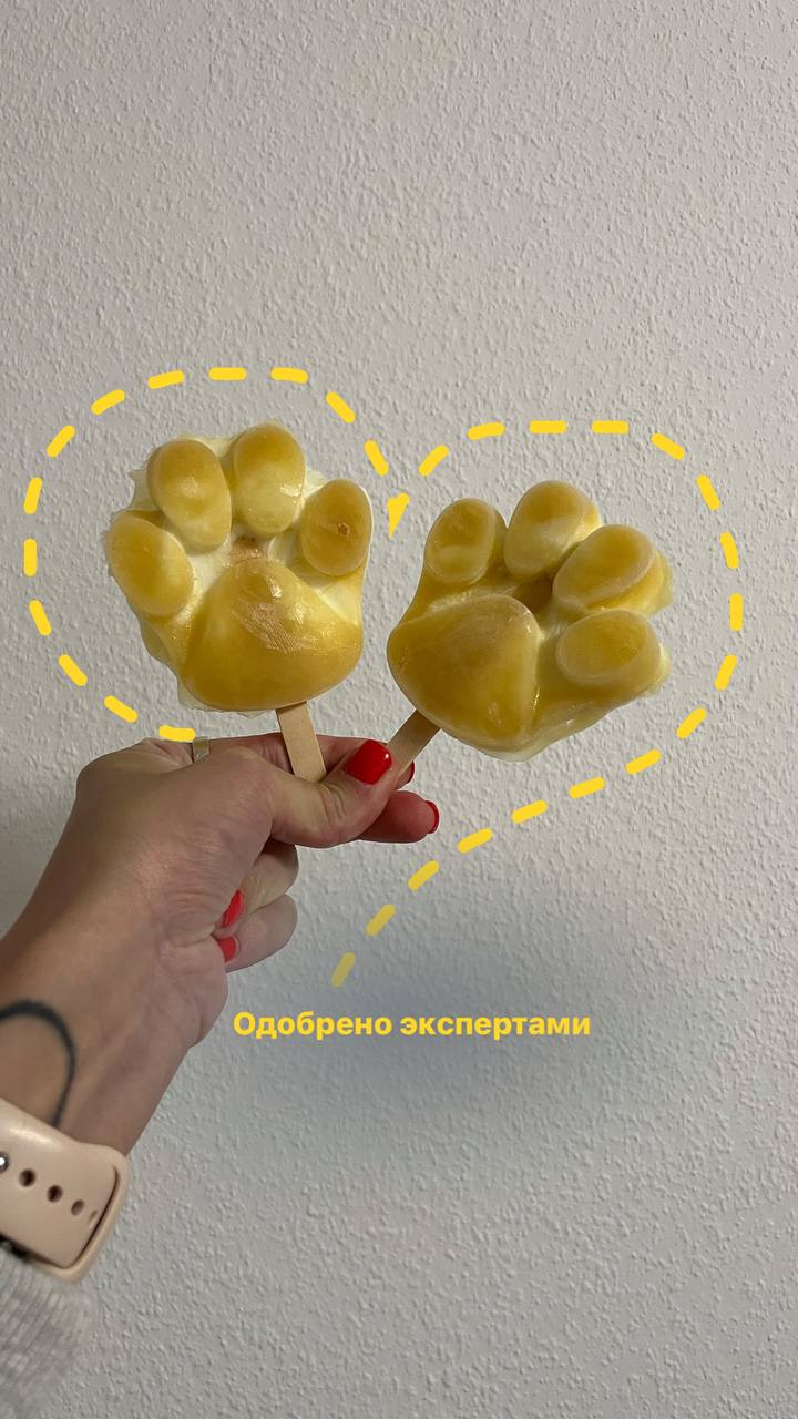 Натуральное собачье мороженое